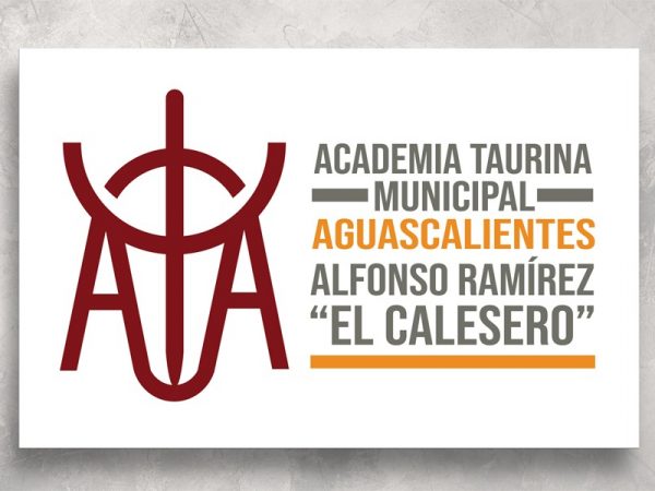 <span>Academia Taurina Alfonso Ramírez</span><i>→</i>